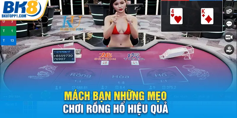 Mách bạn những mẹo chơi rồng hổ hiệu quả