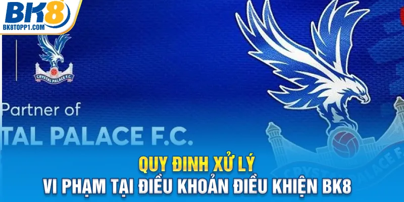 Quy đinh xử lý vi phạm tại điều khoản điều khiện BK8