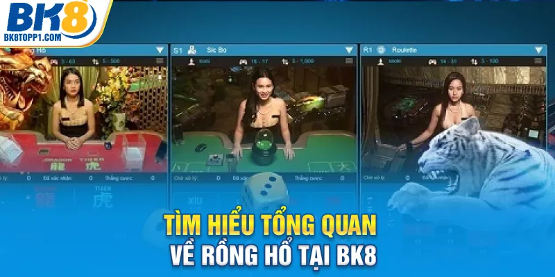 Tìm hiểu tổng quan về rồng hổ tại BK8