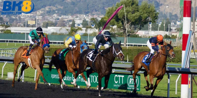 Những quy tắc trước khi bắt đầu cược